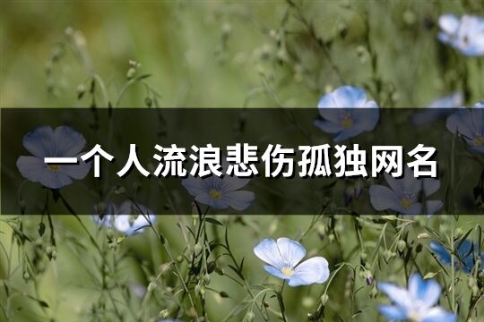 一个人流浪悲伤孤独网名(248个)