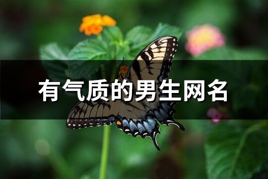 有气质的男生网名(精选138个)