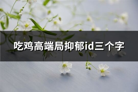 吃鸡高端局抑郁id三个字(共84个)