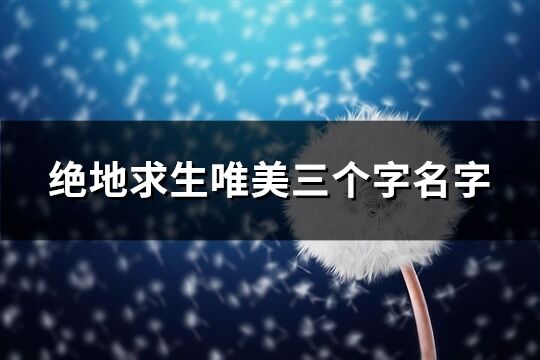 绝地求生唯美三个字名字(精选714个)