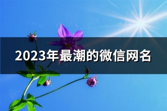 2023年最潮的微信网名(精选706个)