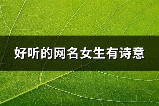 好听的网名女生有诗意(精选240个)