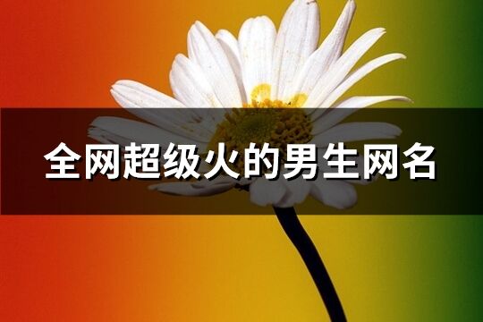 全网超级火的男生网名(精选623个)