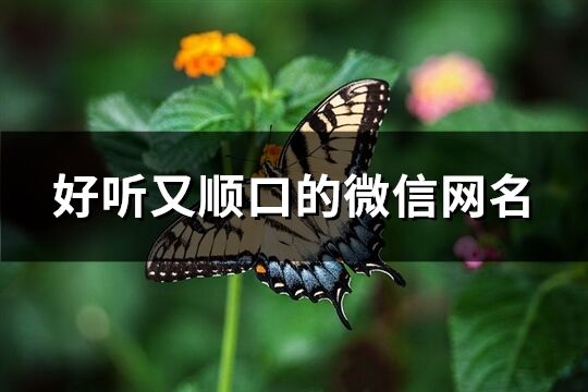 好听又顺口的微信网名(601个)