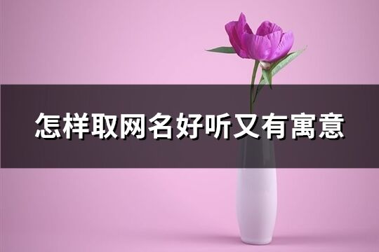 怎样取网名好听又有寓意(共485个)