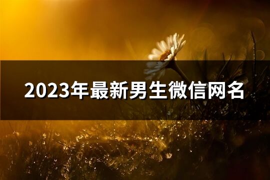 2023年最新男生微信网名(精选1326个)