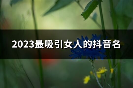 2023最吸引女人的抖音名(510个)