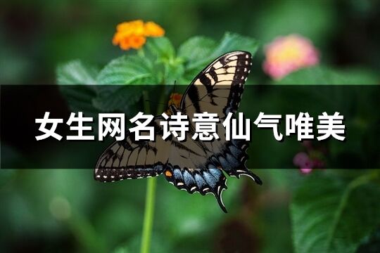 女生网名诗意仙气唯美(共100个)