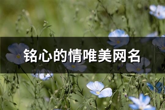 铭心的情唯美网名(精选147个)