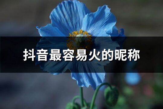 抖音最容易火的昵称(精选1556个)