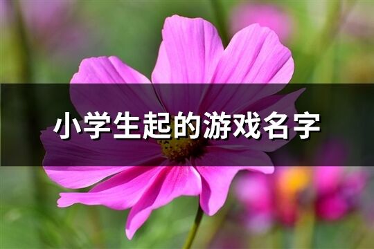 小学生起的游戏名字(145个)