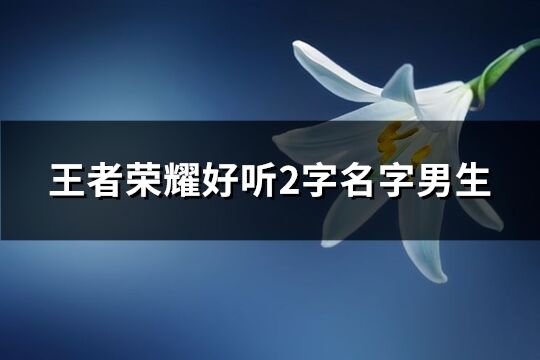 王者荣耀好听2字名字男生(共577个)