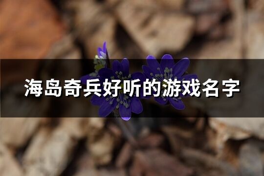 海岛奇兵好听的游戏名字(共286个)