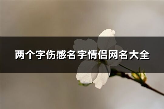 两个字伤感名字情侣网名大全(共250个)