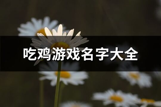 吃鸡游戏名字大全(703个)