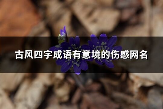 古风四字成语有意境的伤感网名(共567个)