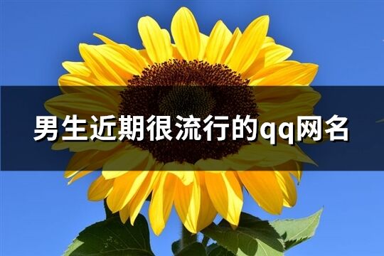 男生近期很流行的qq网名(共611个)