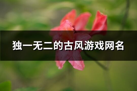 独一无二的古风游戏网名(精选634个)