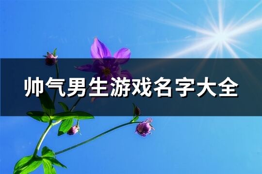 帅气男生游戏名字大全(共322个)