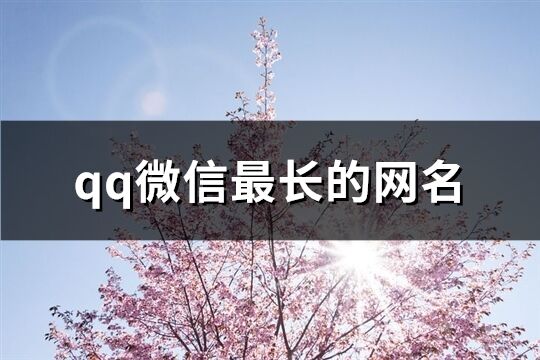 qq微信最长的网名(精选235个)