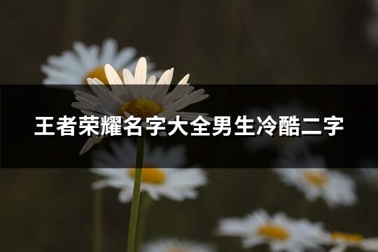 王者荣耀名字大全男生冷酷二字(259个)