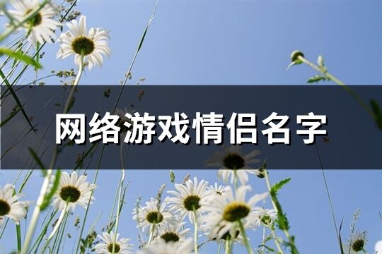 网络游戏情侣名字(共416个)