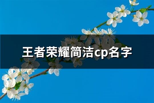 王者荣耀简洁cp名字(共385个)