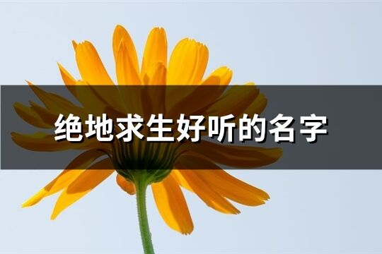 绝地求生好听的名字(共518个)