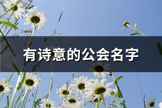 有诗意的公会名字(共345个)