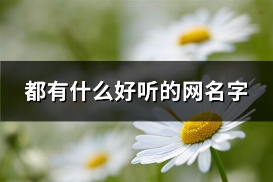 都有什么好听的网名字(102个)