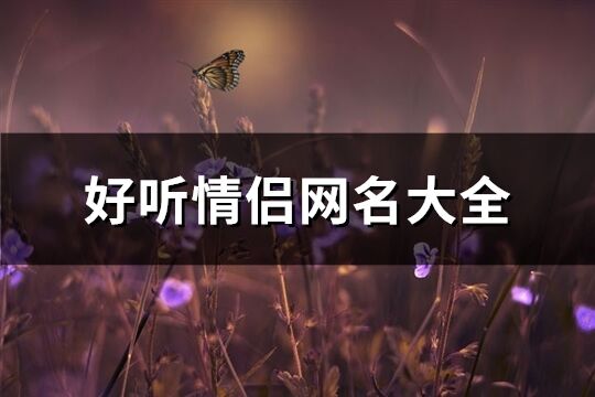 好听情侣网名大全(361个)