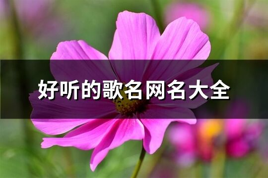 好听的歌名网名大全(共150个)