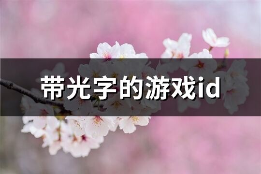 带光字的游戏id(60个)