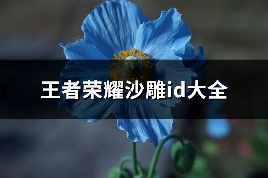 王者荣耀沙雕id大全(227个)