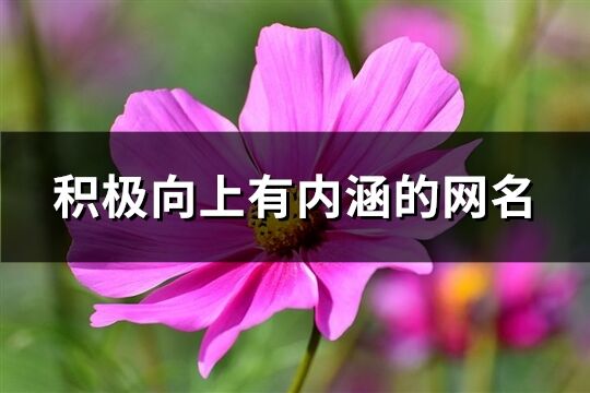 积极向上有内涵的网名(176个)