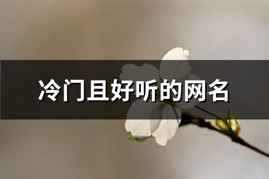 冷门且好听的网名(共249个)