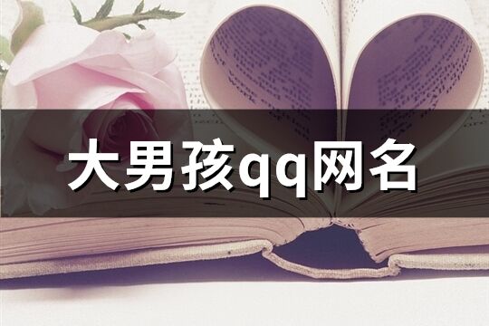 大男孩qq网名(705个)