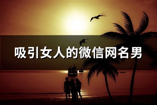 吸引女人的微信网名男(精选80个)