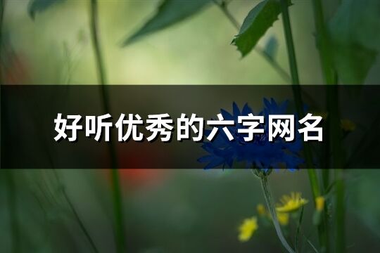 好听优秀的六字网名(共376个)