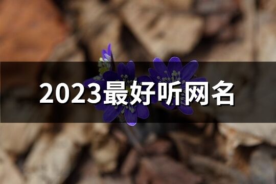 2023最好听网名(共1173个)