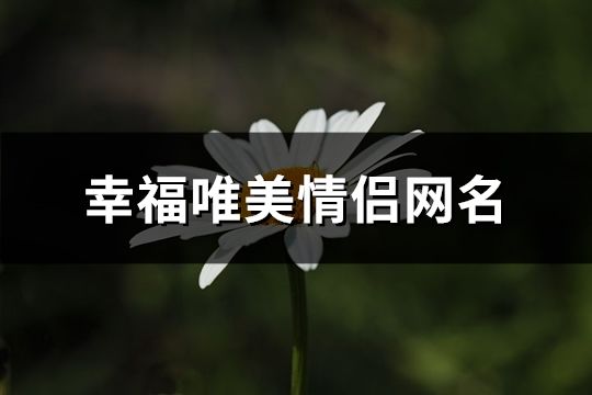 幸福唯美情侣网名(378对)