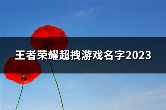 王者荣耀超拽游戏名字2023(精选61个)