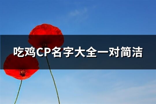 吃鸡CP名字大全一对简洁(共289个)