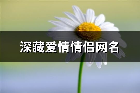 深藏爱情情侣网名(共186个)