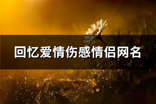 回忆爱情伤感情侣网名(共84个)