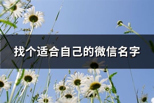 找个适合自己的微信名字(精选431个)