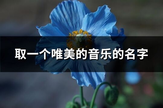 取一个唯美的音乐的名字(优选67个)