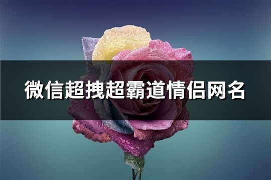 微信超拽超霸道情侣网名(71个)