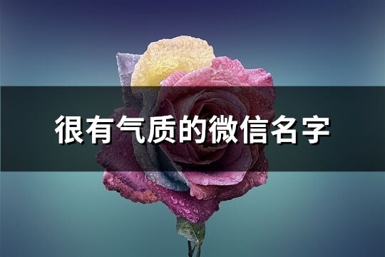 很有气质的微信名字(336个)