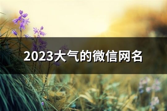 2023大气的微信网名(优选852个)